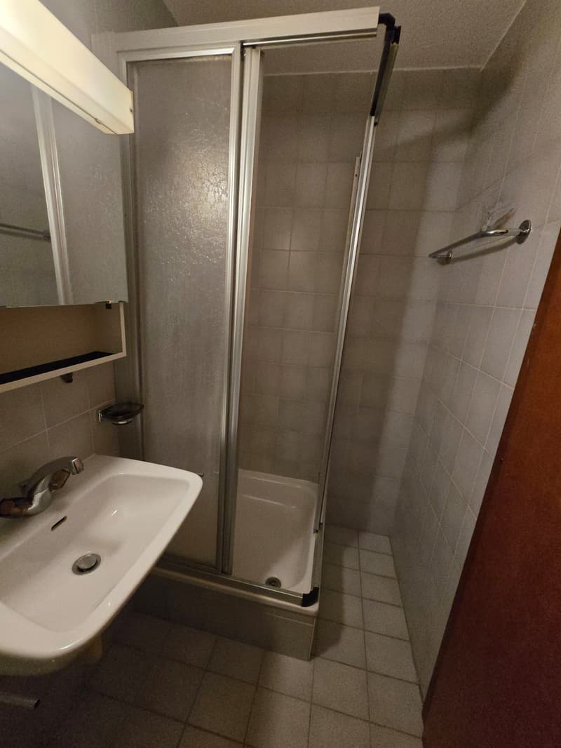 Bright studio on the 5th floor in Sion, available immediately (6)
