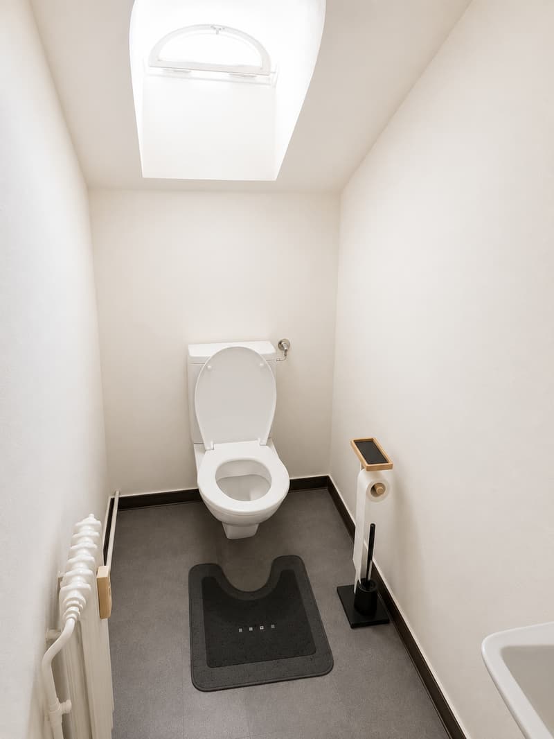 Charming 2-room attic apartment in Rorschach (7)