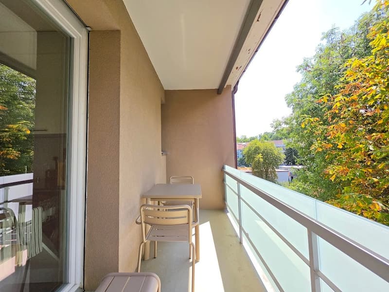 Questo delizioso appartamento di 2 camere con balcone è perfetto per single o coppie! (13)