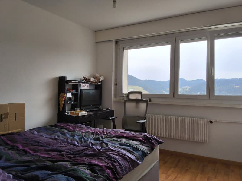 Appartamento di 2 locali ben mantenuto, ideale per single o coppie! (10)