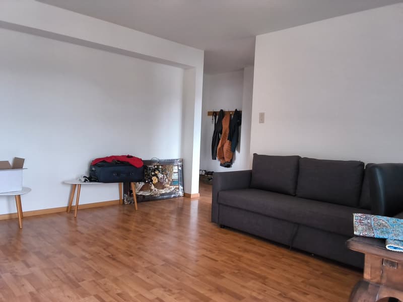 Appartamento di 2 locali ben mantenuto, ideale per single o coppie! (8)