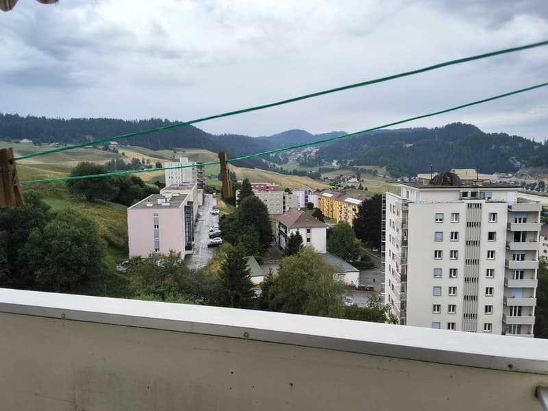 Appartamento di 2 locali ben mantenuto, ideale per single o coppie! (13)