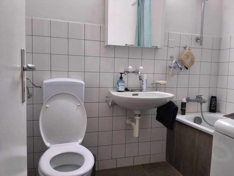 Appartamento di 2 locali ben mantenuto, ideale per single o coppie! (6)