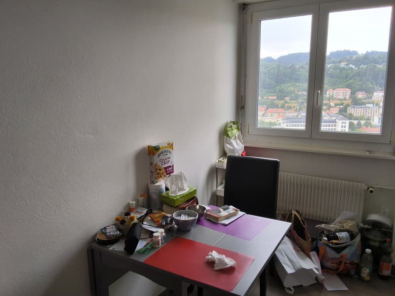 Appartamento di 2 locali ben mantenuto, ideale per single o coppie! (5)