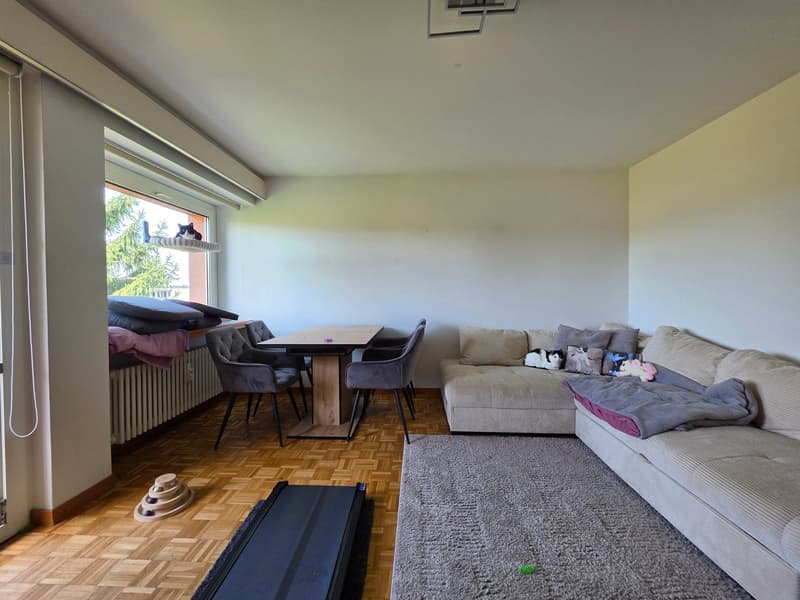 Appartamento 3 locali luminoso con balcone ad Arbon (15)