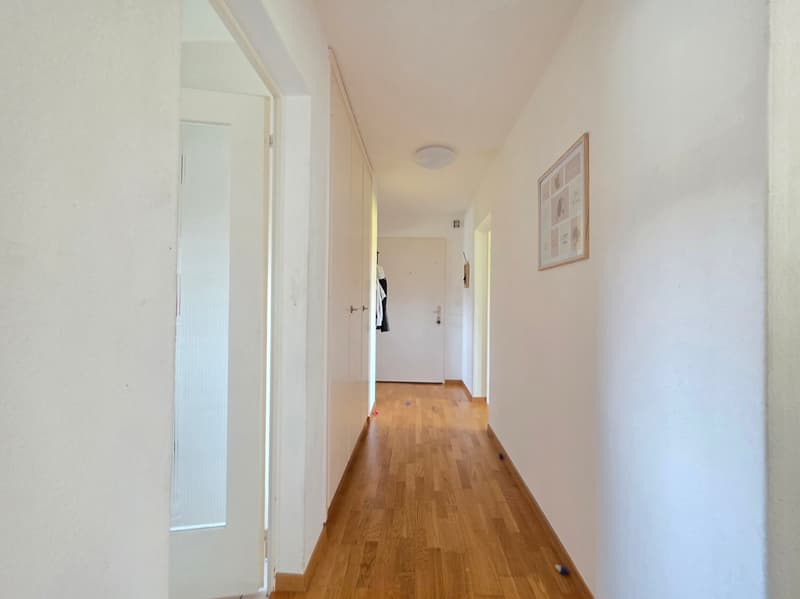 Appartamento 3 locali luminoso con balcone ad Arbon (18)