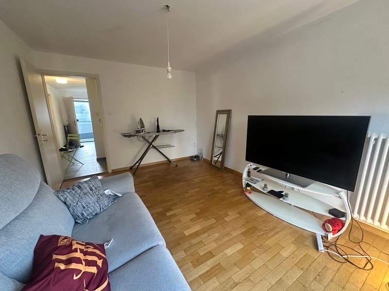 Cozy 2-room apartment for rent in Bettlach (9)