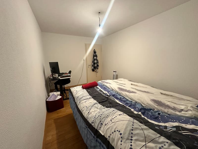 Cozy 2-room apartment for rent in Bettlach (6)
