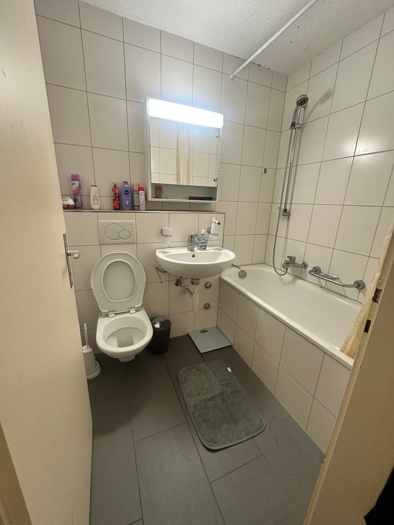 Cozy 2-room apartment for rent in Bettlach (16)
