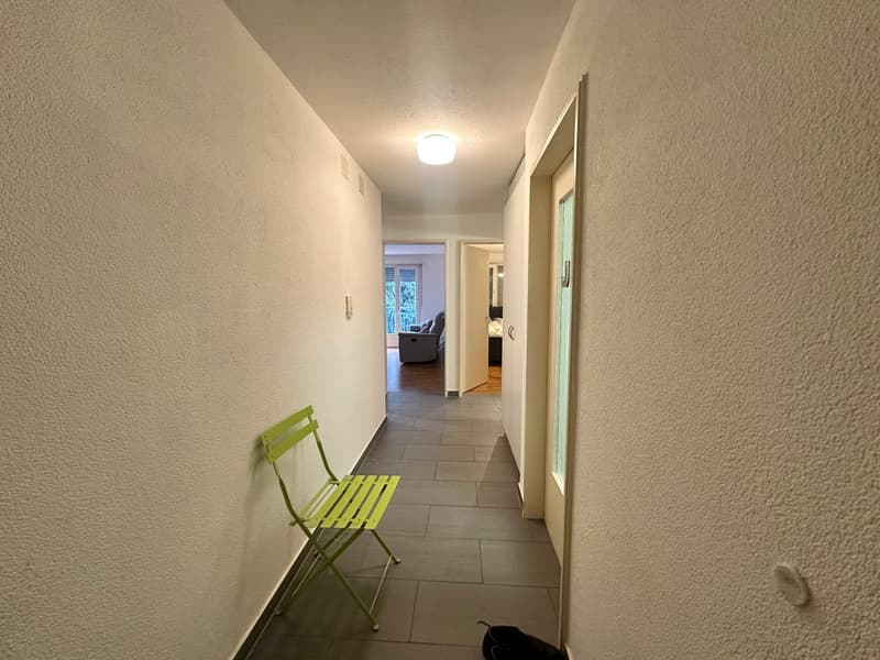 Cozy 2-room apartment for rent in Bettlach (11)