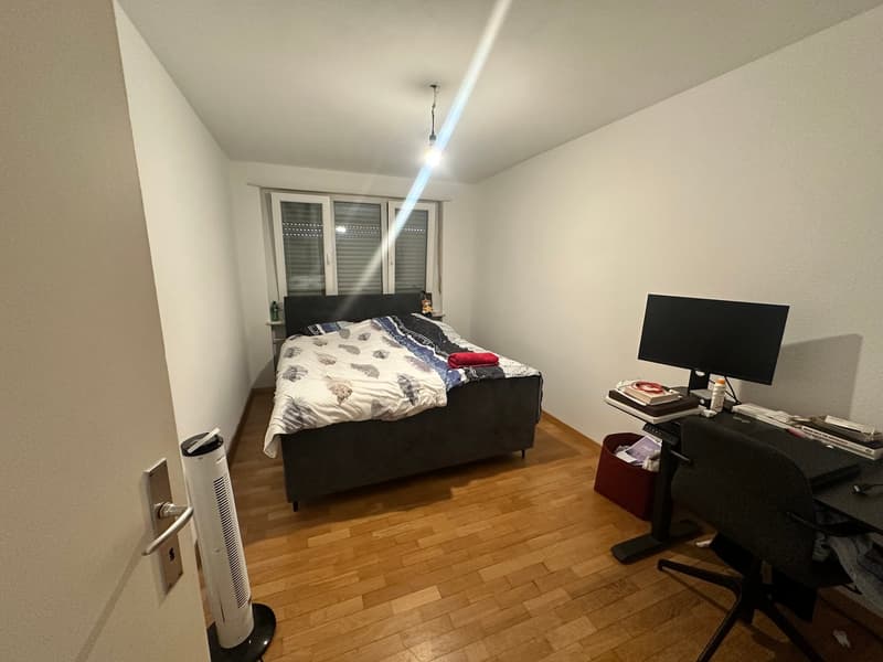 Cozy 2-room apartment for rent in Bettlach (5)