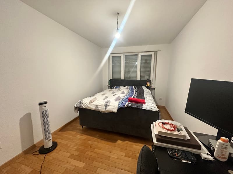 Cozy 2-room apartment for rent in Bettlach (4)