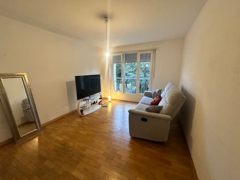 Cozy 2-room apartment for rent in Bettlach (8)