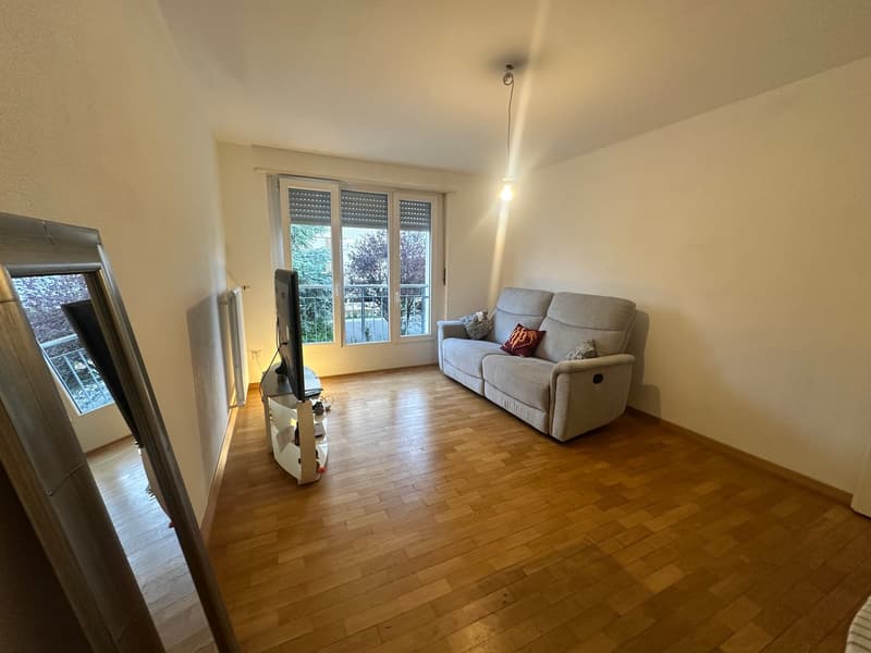 Cozy 2-room apartment for rent in Bettlach (7)