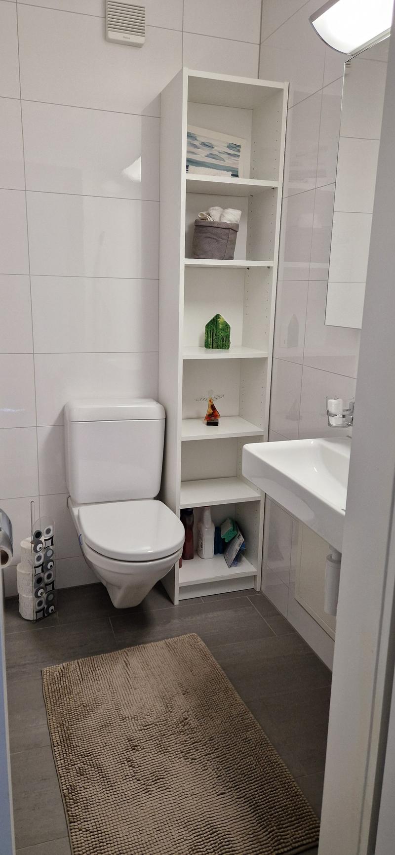 Spacious and bright 4.5 room apartment for rent! (12)