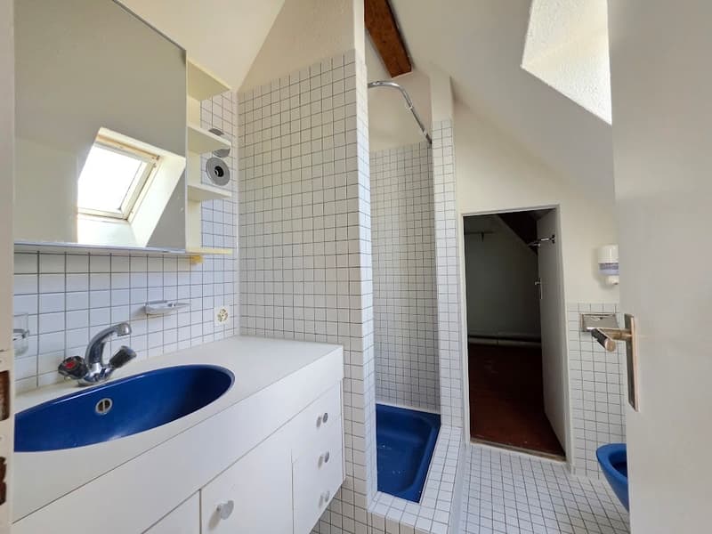 2.5 Maissonetwohnung in Trimbach zu vermieten! (5)