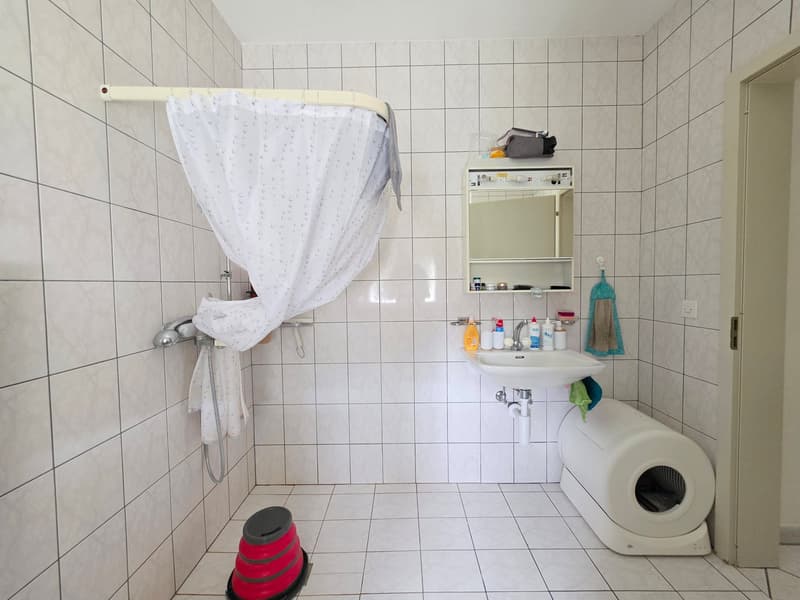 Charmant appartement 2 pièces au cœur de Tramelan (11)