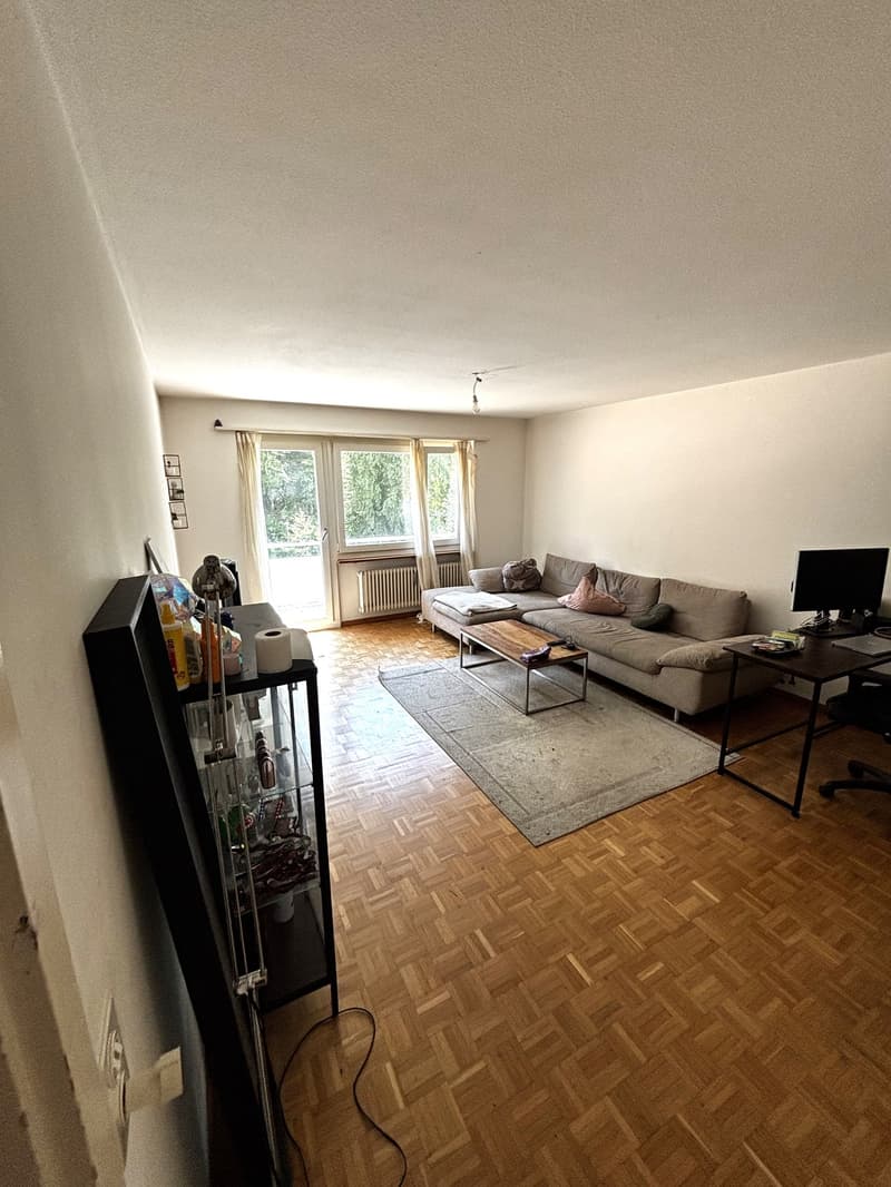 Appartamento accogliente di 3,5 locali con fascino gradevole e balcone! (4)