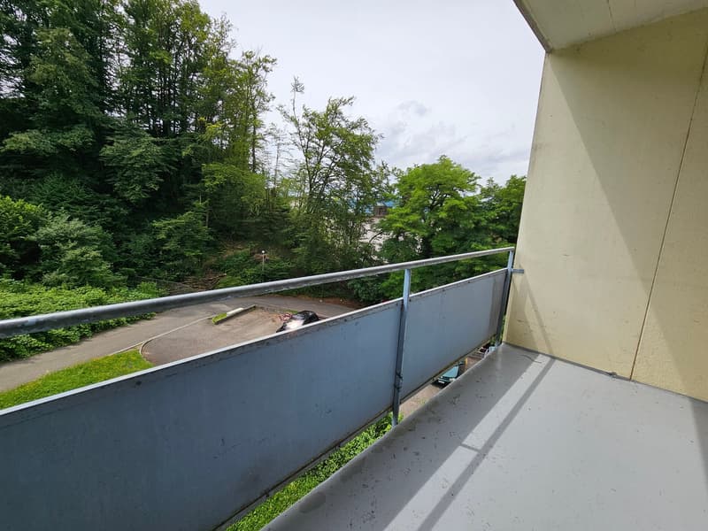 Appartamento accogliente di 3,5 locali con fascino gradevole e balcone! (10)