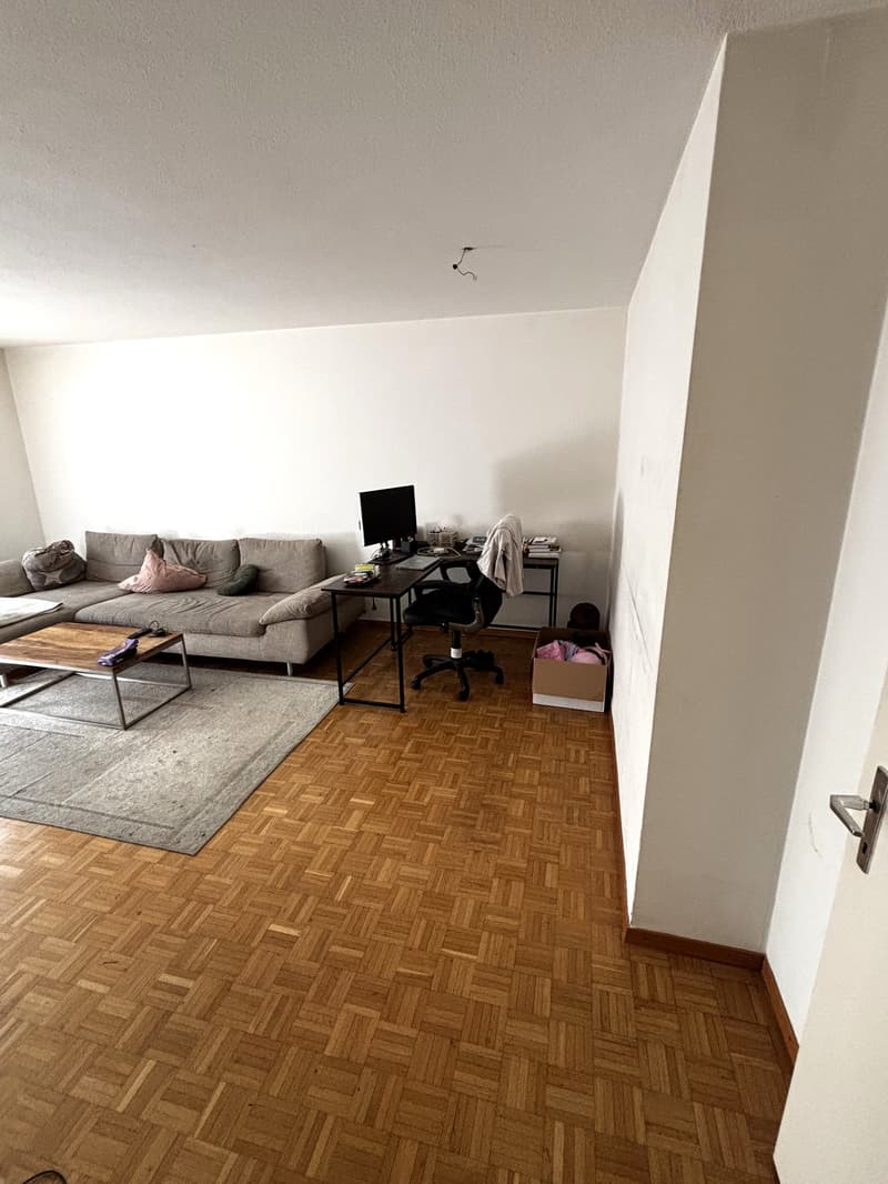 Appartamento accogliente di 3,5 locali con fascino gradevole e balcone! (5)