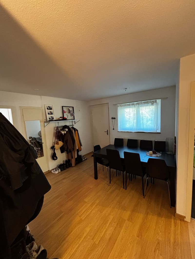 Appartamento accogliente di 3,5 locali con fascino gradevole e balcone! (6)