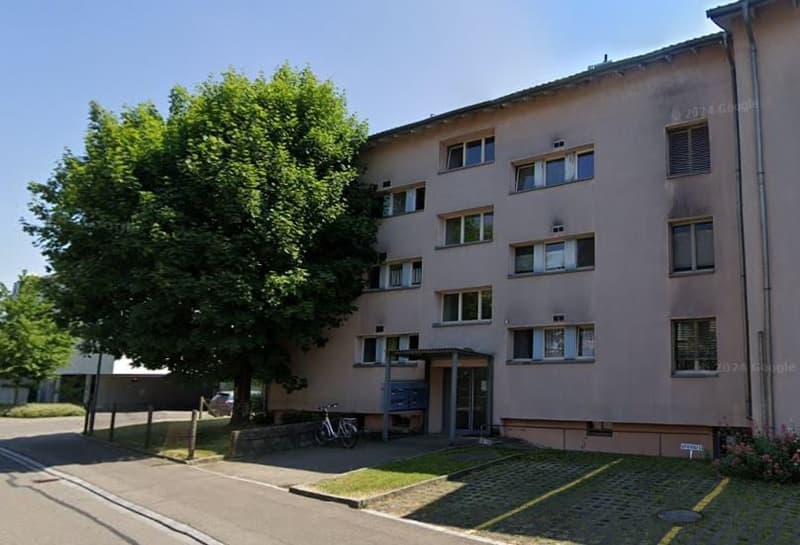 Incantevole appartamento di 3.5 locali con balcone (1)