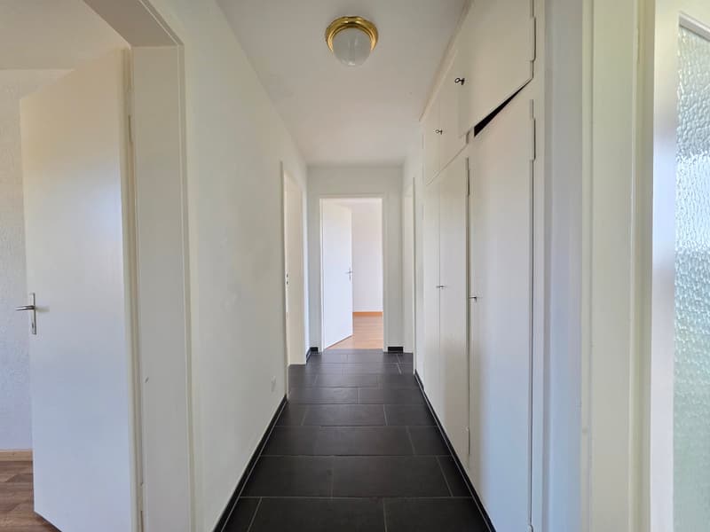 Appartement 3 pièces lumineux dans un quartier calme à Wohlen (11)