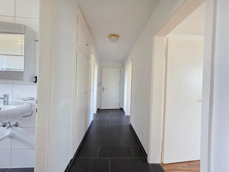 Appartement 3 pièces lumineux dans un quartier calme à Wohlen (10)