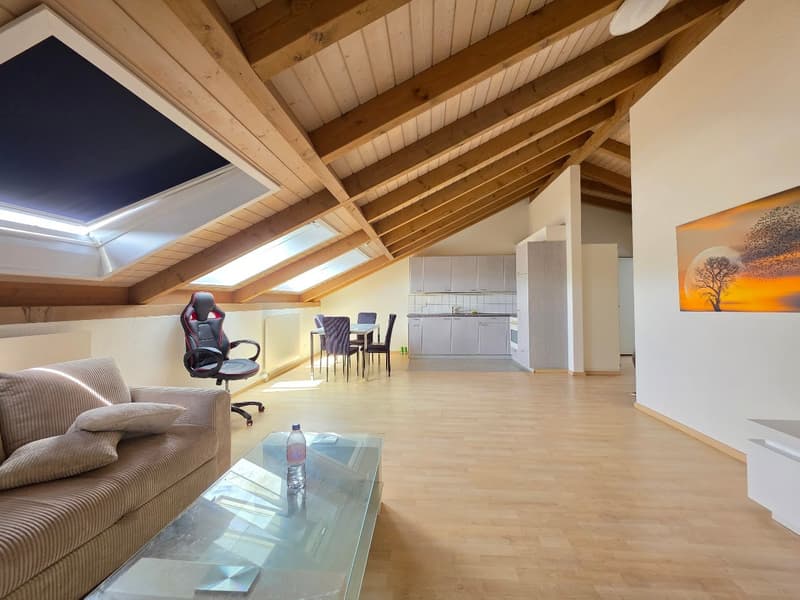 Heimelige, grossflächige Dachwohnung! (10)