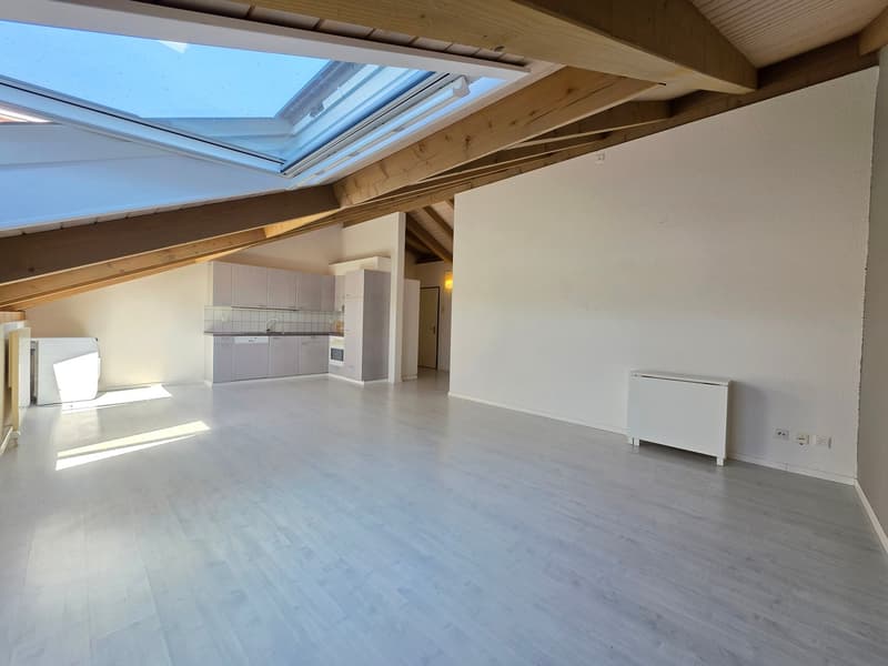 Heimelige, grossflächige Dachwohnung! (8)