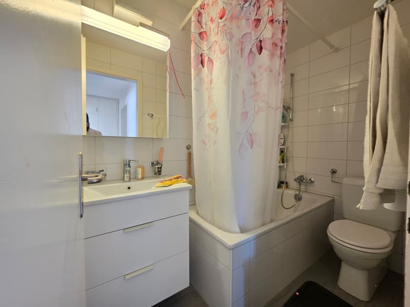 Moderne 3.5 ZWG an zentraler Wohnlage zu vermieten (12)