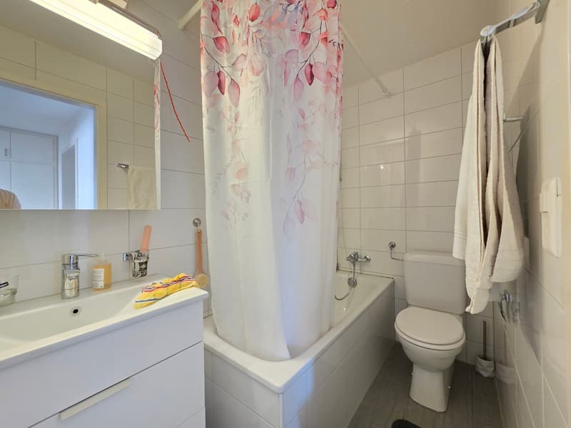 Moderne 3.5 ZWG an zentraler Wohnlage zu vermieten (13)