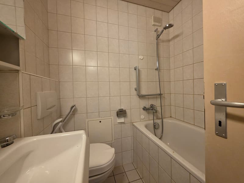 Grosszügige 3.5-Zimmer-Wohnung in Lenzburg zu vermieten (18)