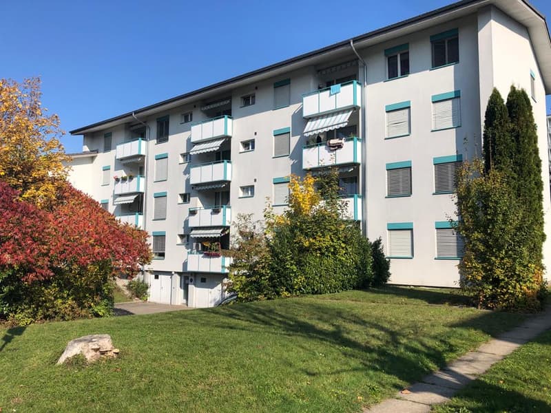 Grosszügige 3.5-Zimmer-Wohnung in Lenzburg zu vermieten (1)