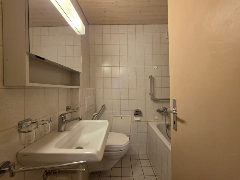 Grosszügige 3.5-Zimmer-Wohnung in Lenzburg zu vermieten (19)