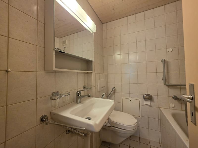 Grosszügige 3.5-Zimmer-Wohnung in Lenzburg zu vermieten (20)
