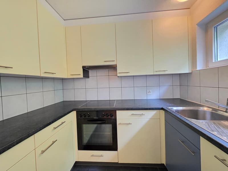 Grosszügige 3.5-Zimmer-Wohnung in Lenzburg zu vermieten (3)
