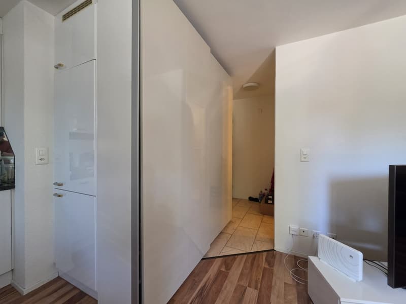 Befristete 3 Zimmer-Wohnung in Zürich mieten (13)