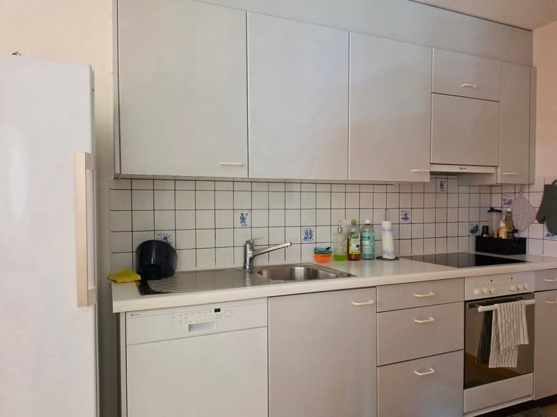 Charmante 3.5 Zimmer Wohnung mit Balkon (5)