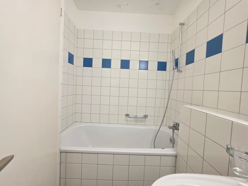 Moderne und grosszügige 4 ZWG per sofort zu vermieten (15)