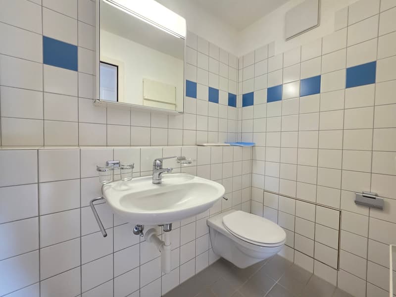 Moderne und grosszügige 4 ZWG per sofort zu vermieten (14)