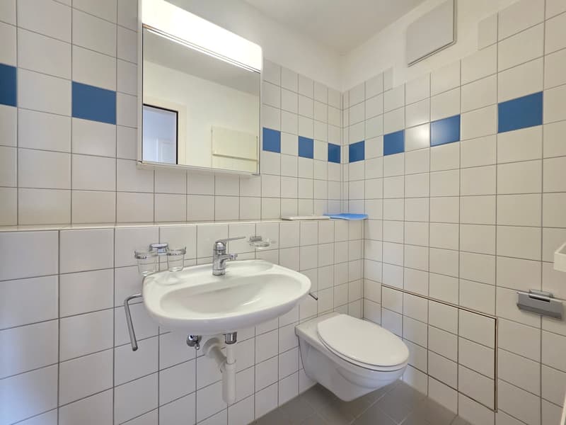 Moderne und grosszügige 4 ZWG per sofort zu vermieten (13)