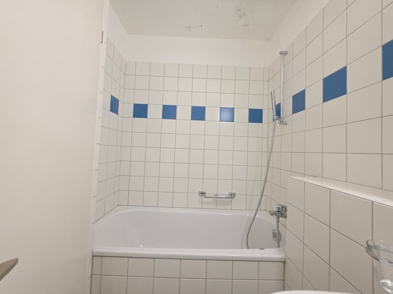 Moderne und grosszügige 4 ZWG per sofort zu vermieten (16)