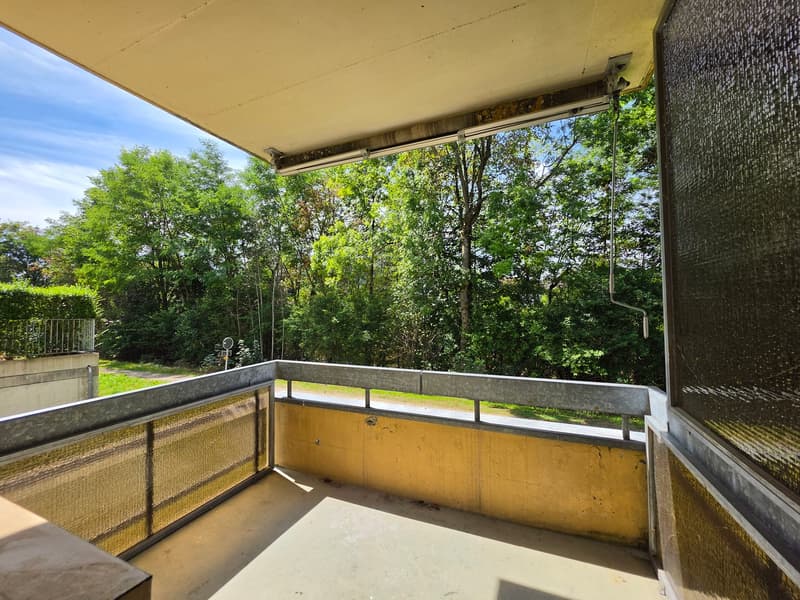 Gemütliche 4-Zimmer-Wohnung mit Balkon und Aussicht auf die Emme! (16)