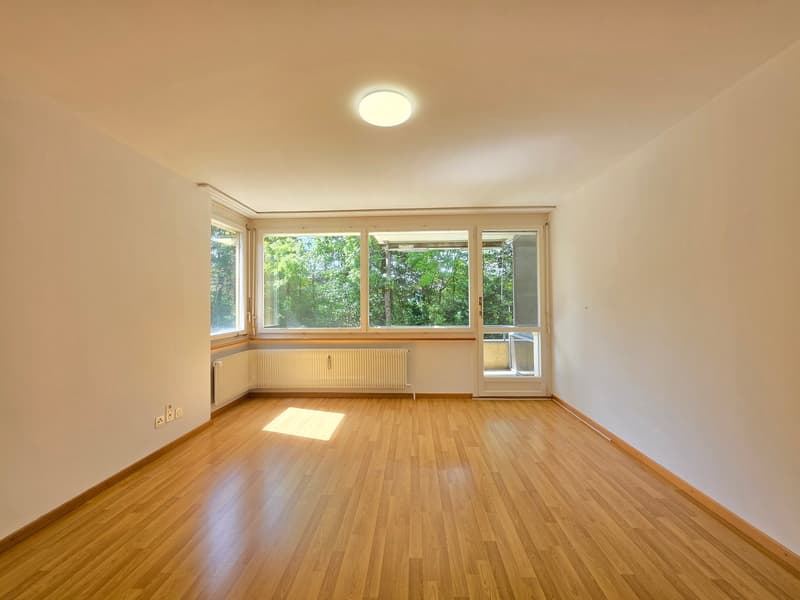 Gemütliche 4-Zimmer-Wohnung mit Balkon und Aussicht auf die Emme! (7)