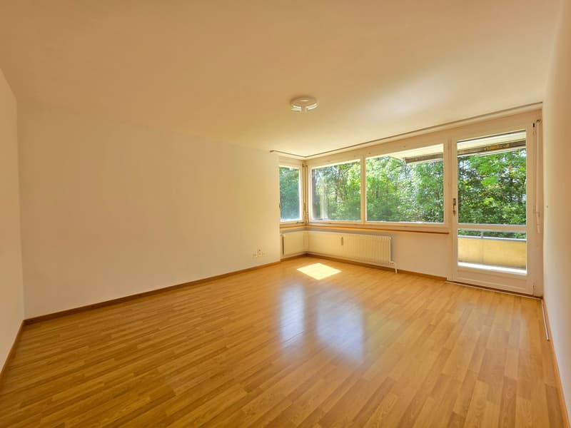 Gemütliche 4-Zimmer-Wohnung mit Balkon und Aussicht auf die Emme! (6)