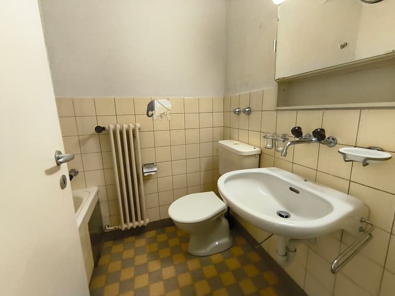 Befristete 1 Zimmer Wohnung per sofort in Zürich (6)