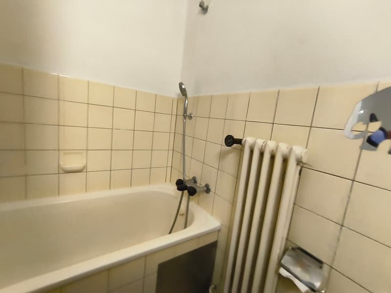 Befristete 1 Zimmer Wohnung per sofort in Zürich (7)