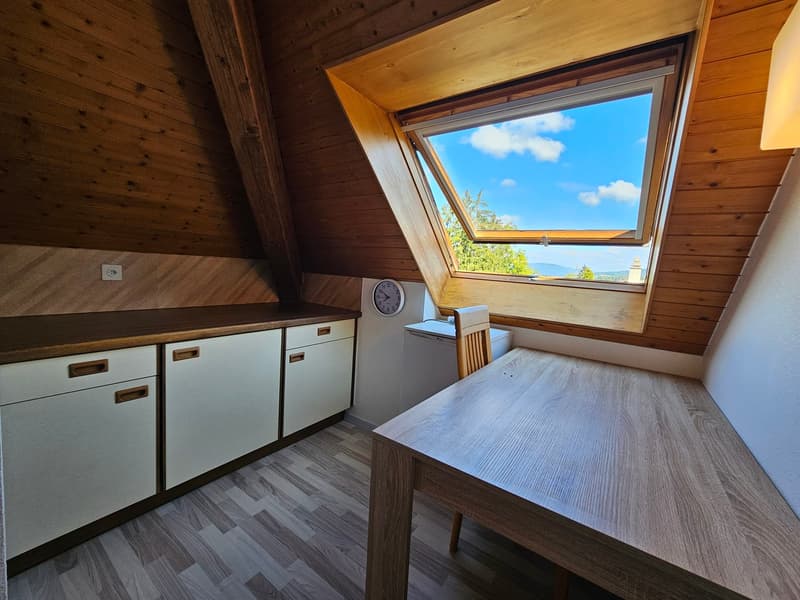 Charmant appartement de 2 pièces à Courfaivre (4)