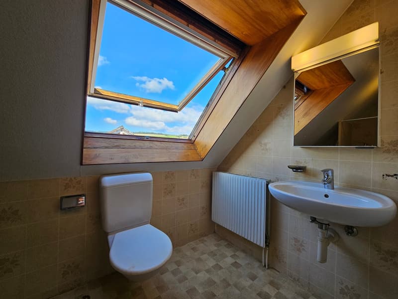 Charmant appartement de 2 pièces à Courfaivre (11)